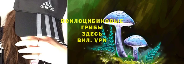 МДПВ Нягань
