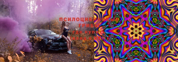 тгк Осинники