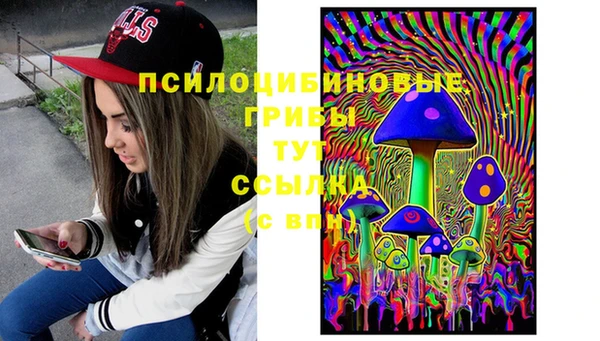 МДПВ Нягань