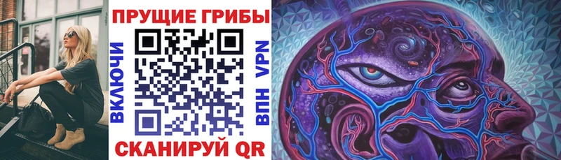купить наркотик  Бавлы  Псилоцибиновые грибы мицелий 